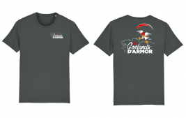 tshirt anthracite logo rouge
